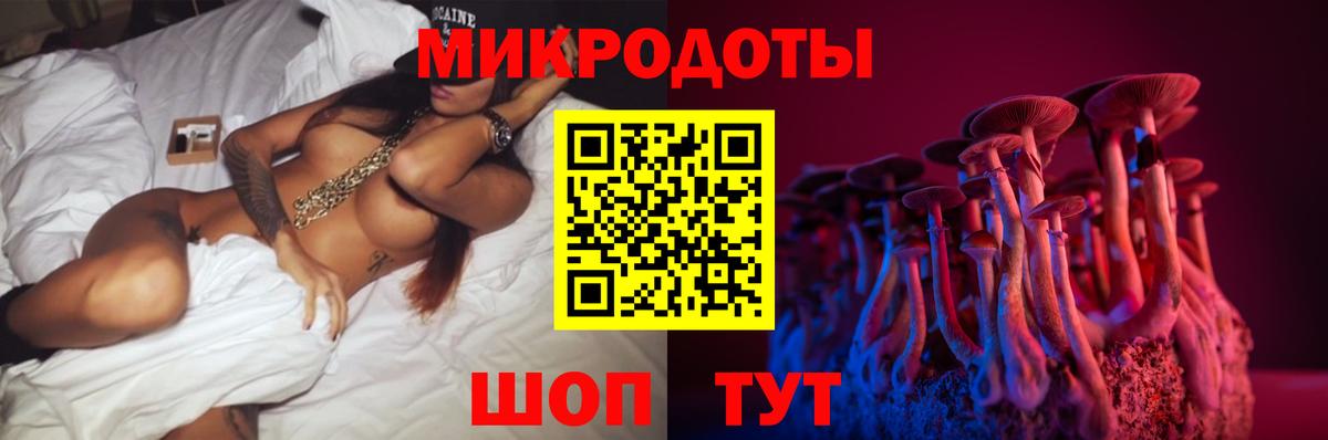 Галлюциногенные грибы Psilocybe Ульяновск